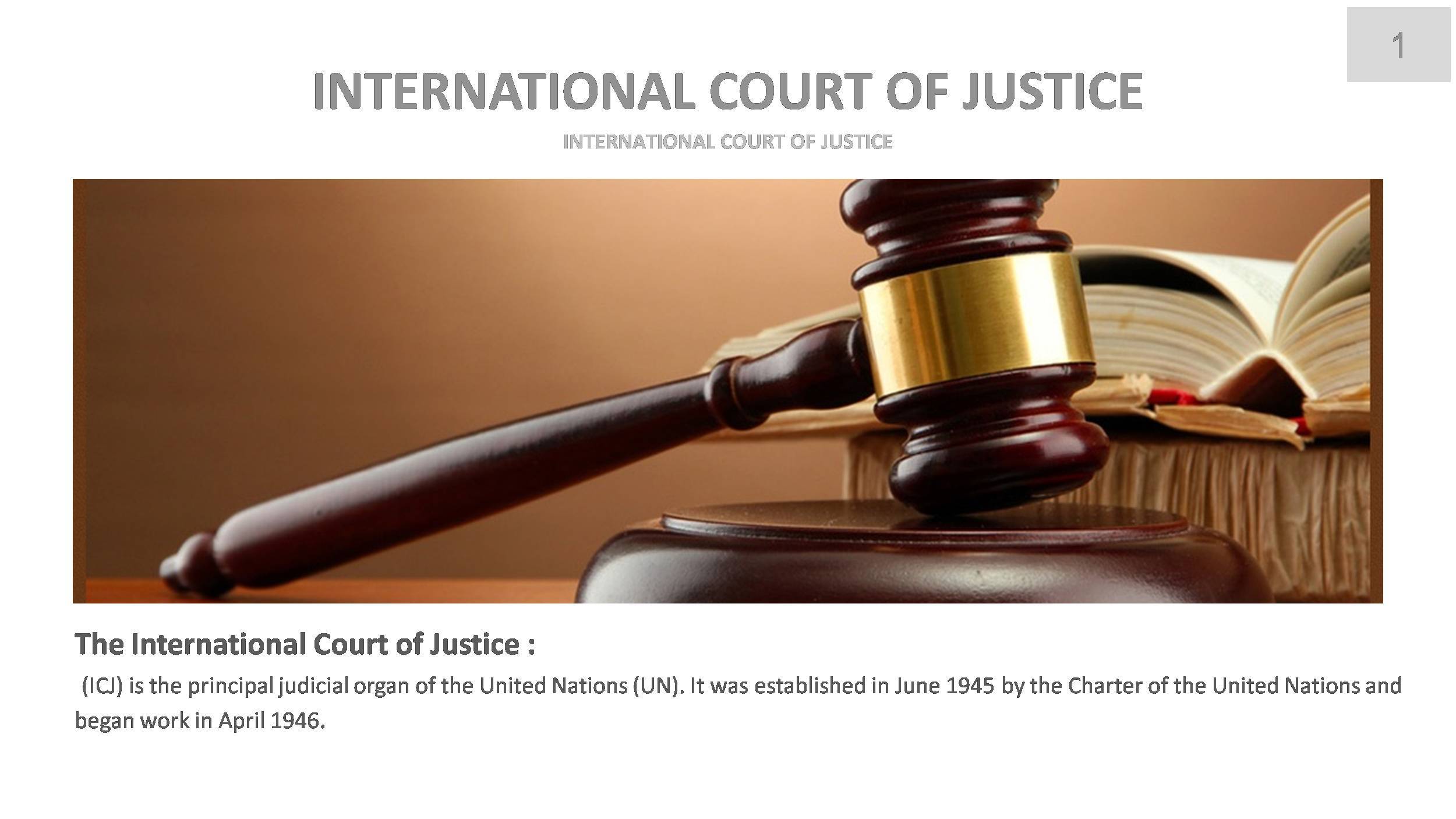 essay on international court of justice