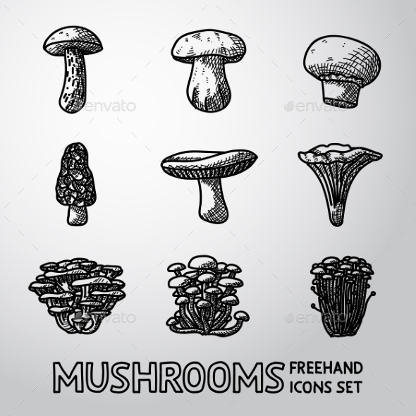 Set of Freehand Mushroom Icons - Food Objects