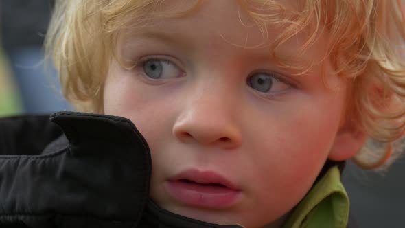 Face Of Small Blond Boy