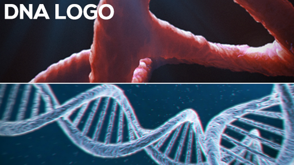 DNA Logo 2-pack - VideoHive 13297571