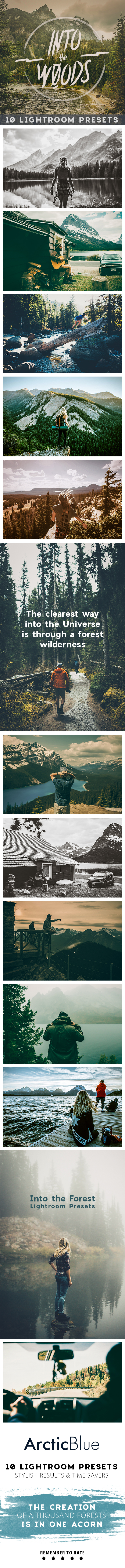 Into the Woods - 10 Lightroom Presets - Cinematic Lightroom Presets