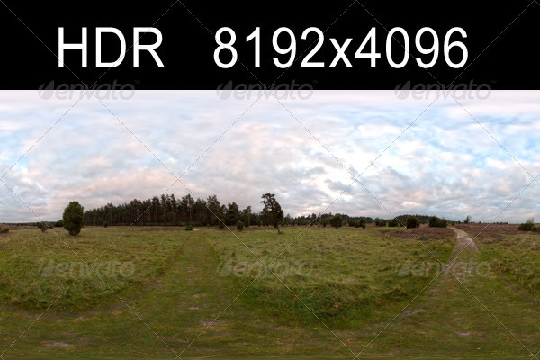 Field Path Cloudy - 3Docean 1333158
