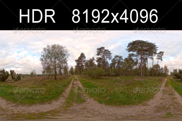 Field Path Cloudy - 3Docean 1333160