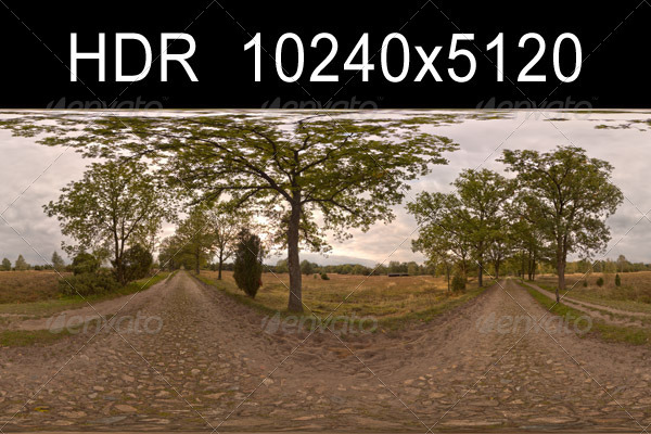 Road with Trees - 3Docean 1333180