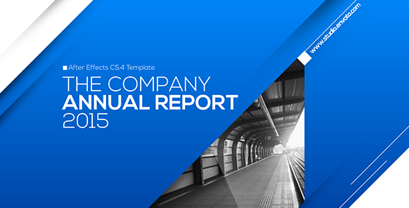 Annual Report Multipurpose - VideoHive 13300008