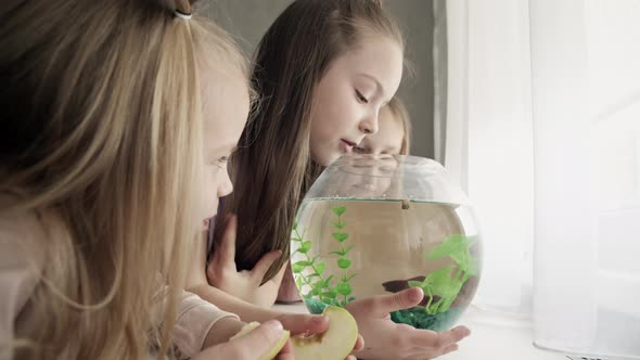 Children playing with aquarium fish