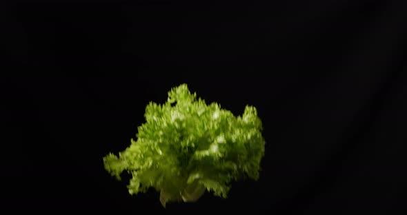 Lettuce . Throwing. Alpha Channel