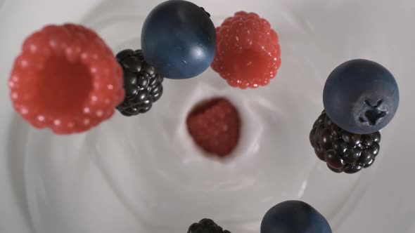 Fresh red-black raspberries and blueberries rain on yogurt in slow motion - High-angle shot