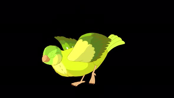 Green canary bows alpha matte 4K