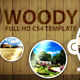 Woody After Effect CS4 Project - VideoHive Item for Sale