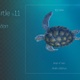 Sea Turtle 11 - VideoHive Item for Sale