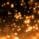 Golden Glows - VideoHive Item for Sale