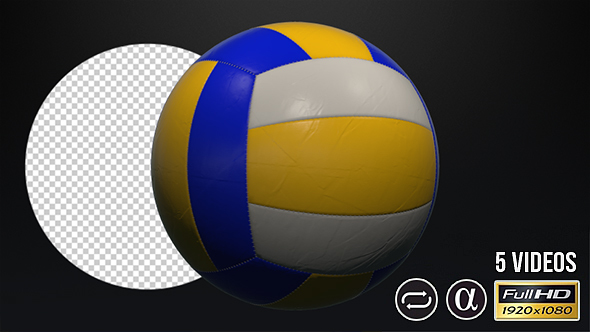 Volleyball Ball - 5 Pack
