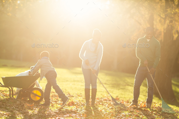 Young family picking up leaves on an autumns day