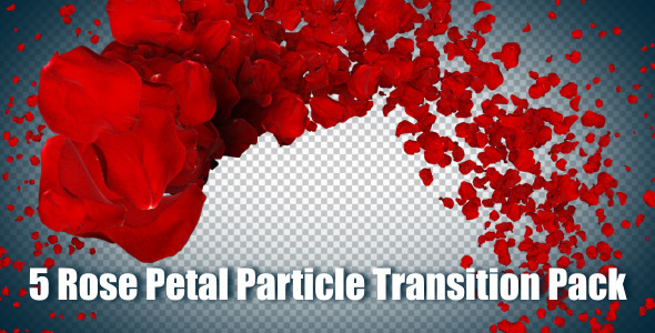 5 Rose Petal Particle Transition Pack