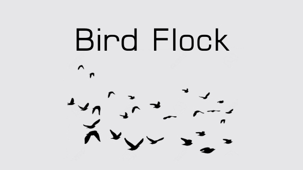 Animated Bird Flock