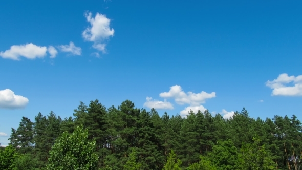 Clouds In The Sky Moving Above The Trees. alt