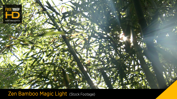 Zen Bamboo Magic Light
