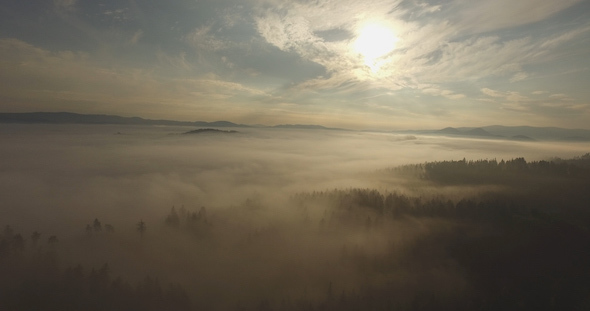 Aerial Over Morning Mist