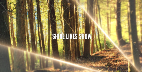 Shine Lines Show