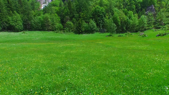 Green Field in the Mountains
