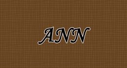 ann_logo