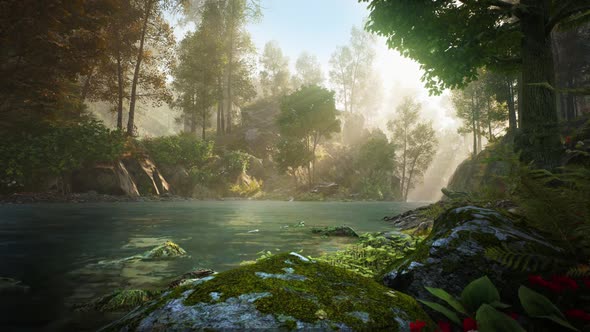 River In The Forest HD