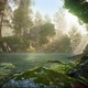 River In The Forest HD
