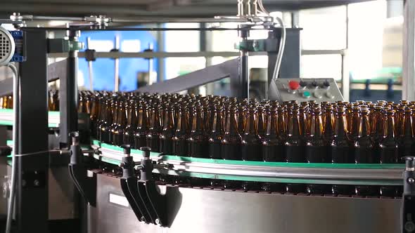 Beer Brown Bottles Move Along the Conveyor Belt