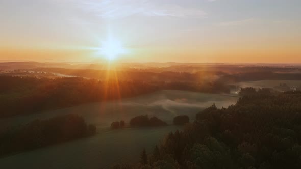 Aerial Time Lapse Hyperlapse Magic Misty Morning in Forest alt