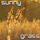 Evening Sunny Grass - VideoHive Item for Sale
