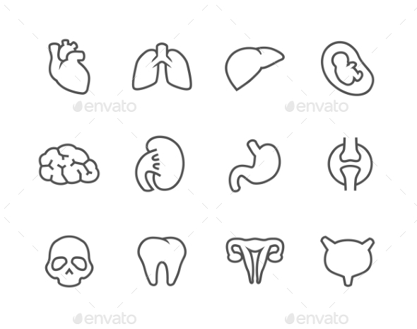 Lined Ogran Icons - Icons