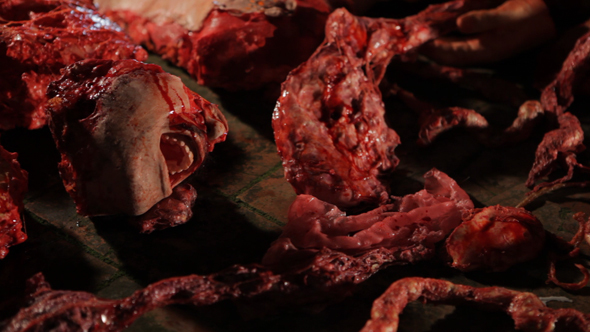 Bloody Murder Scene 01