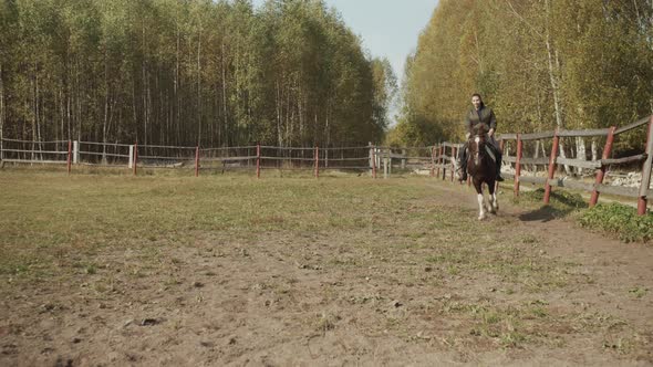 Slow Motion Running a Horse with a Female Rider in the Saddle in the Aviary on a Sunny Summer alt