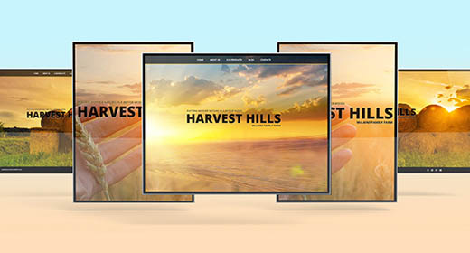 Screen Mockups