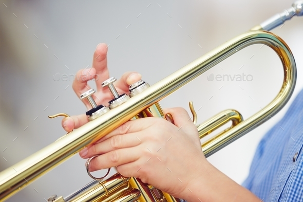 Little trumpeter - Stock Photo - Images