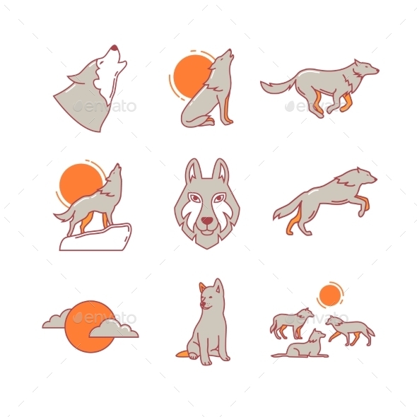 Wolves Hauling, Jumping And Running, Cub, Pack - Animals Characters