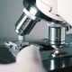Scientist Using a Microscope In Laboratory - VideoHive Item for Sale
