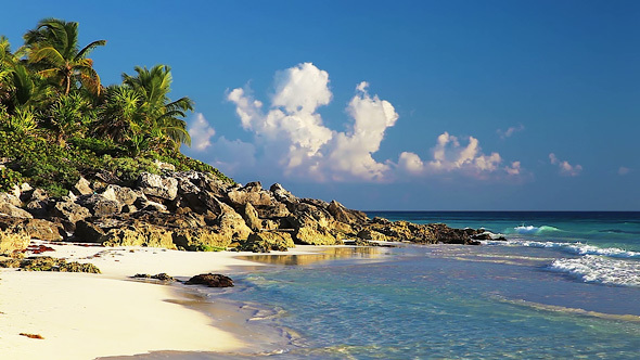 Beautiful Wild Beach