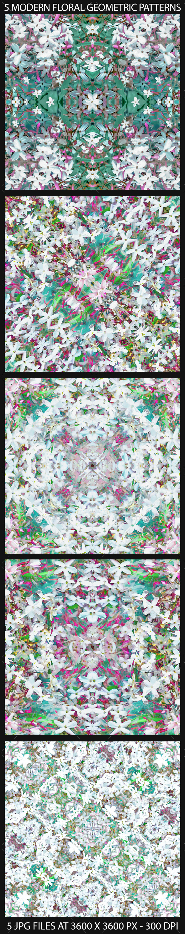 5 Modern Decorative Floral Geometric Patterns - Flourishes / Swirls Decorative