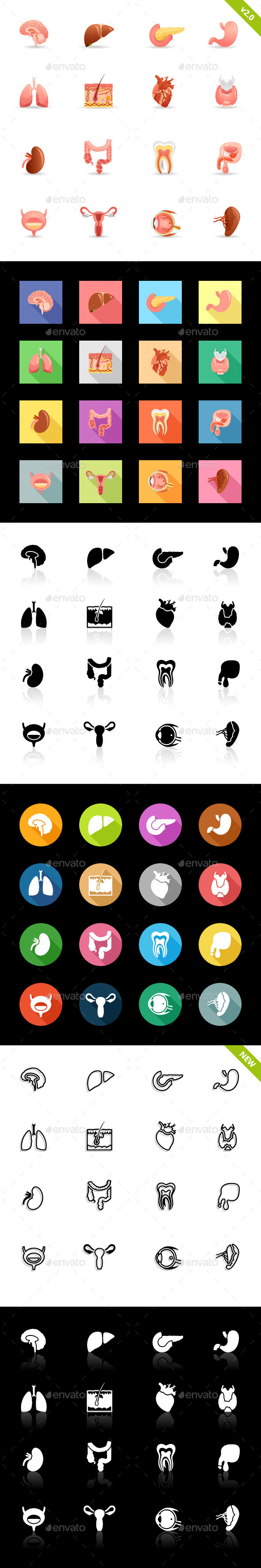 Human Organs (Anatomy) - 96 Icons on 6 Styles - Miscellaneous Icons