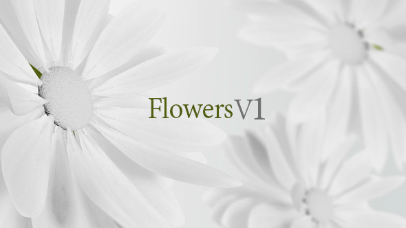 Flowers V1 - VideoHive 13461581