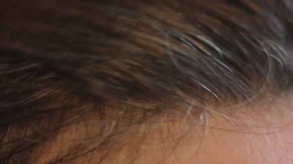 Grey Hair Head