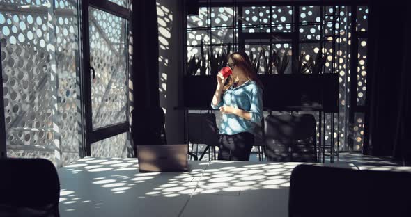 Woman Working on Laptop in Modern Office