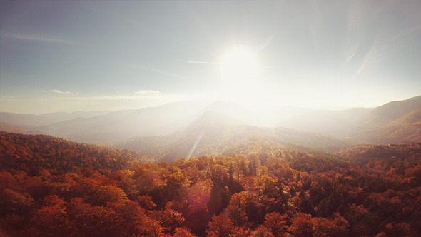 Surreal Autumn Aerials