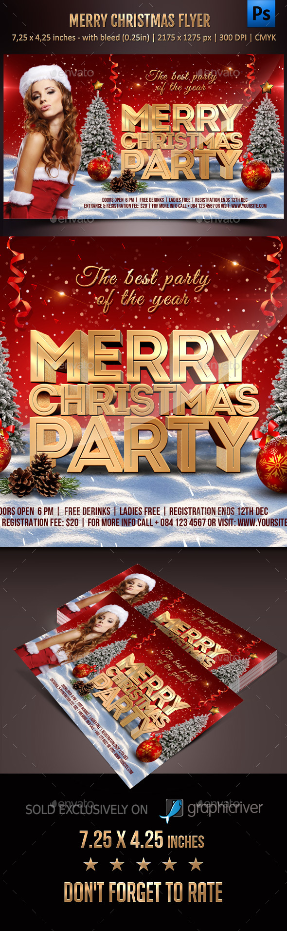 Christmas Party Flyer