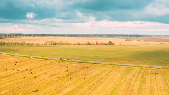 Rural Landscape Field With Hay Bales Rolls After Harvest alt