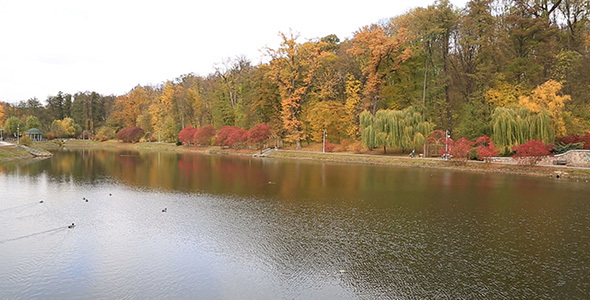 Lake In Autumn