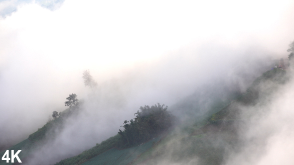 Mist On The Mountain alt