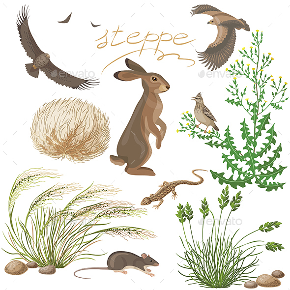 Steppe Plants and Animals Set - Animals Characters